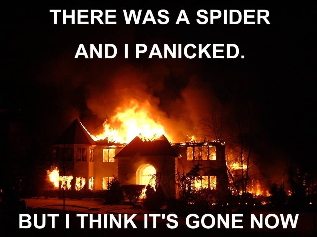THERE WAS A SPIDER