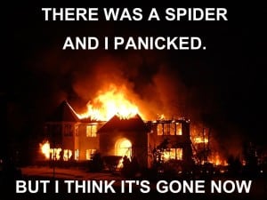 Web Crawler SEO Meme