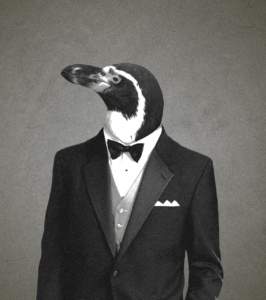 Penguin Update SEO Meme